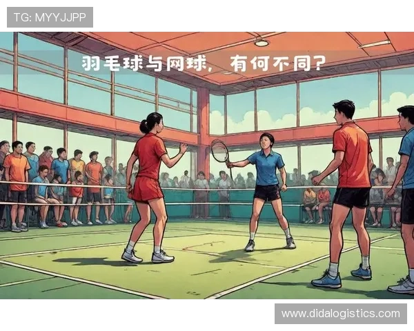 北京网球队的速度之谜：揭开网球巨献的秘密与魅力