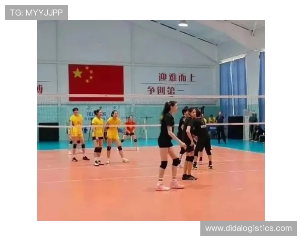 杭州排球队荣获全国排球团队协作排行榜第二名的辉煌成就
