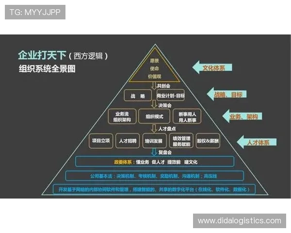 杭州篮球队的节奏探秘：从战术布局到球员配合的全景分析