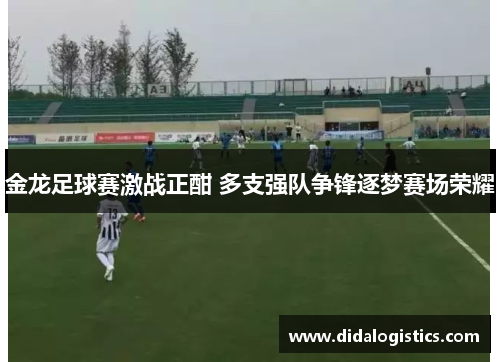 金龙足球赛激战正酣 多支强队争锋逐梦赛场荣耀