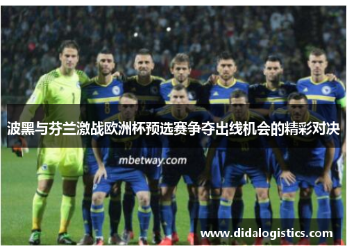 波黑与芬兰激战欧洲杯预选赛争夺出线机会的精彩对决